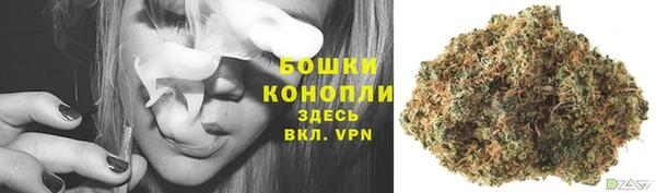соль ск Новокубанск