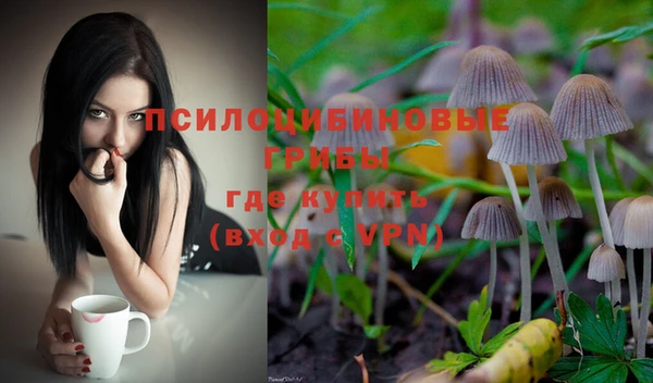 прущий лед Новозыбков