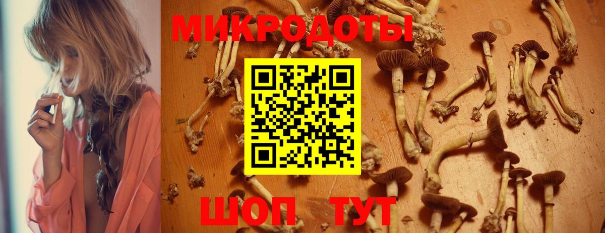 Галлюциногенные грибы прущие грибы Волжский