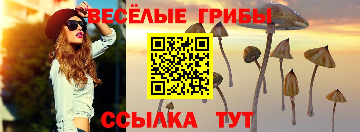 Псилоцибиновые грибы мицелий Волжский