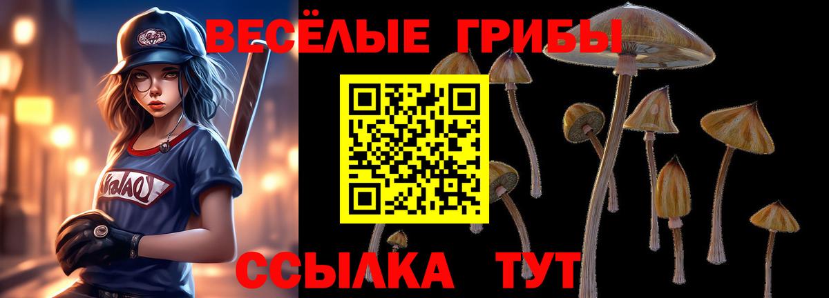 Волжский  Галлюциногенные грибы мицелий  Вход с VPN  Галлюциногенные грибы Psilocybine cubensis 